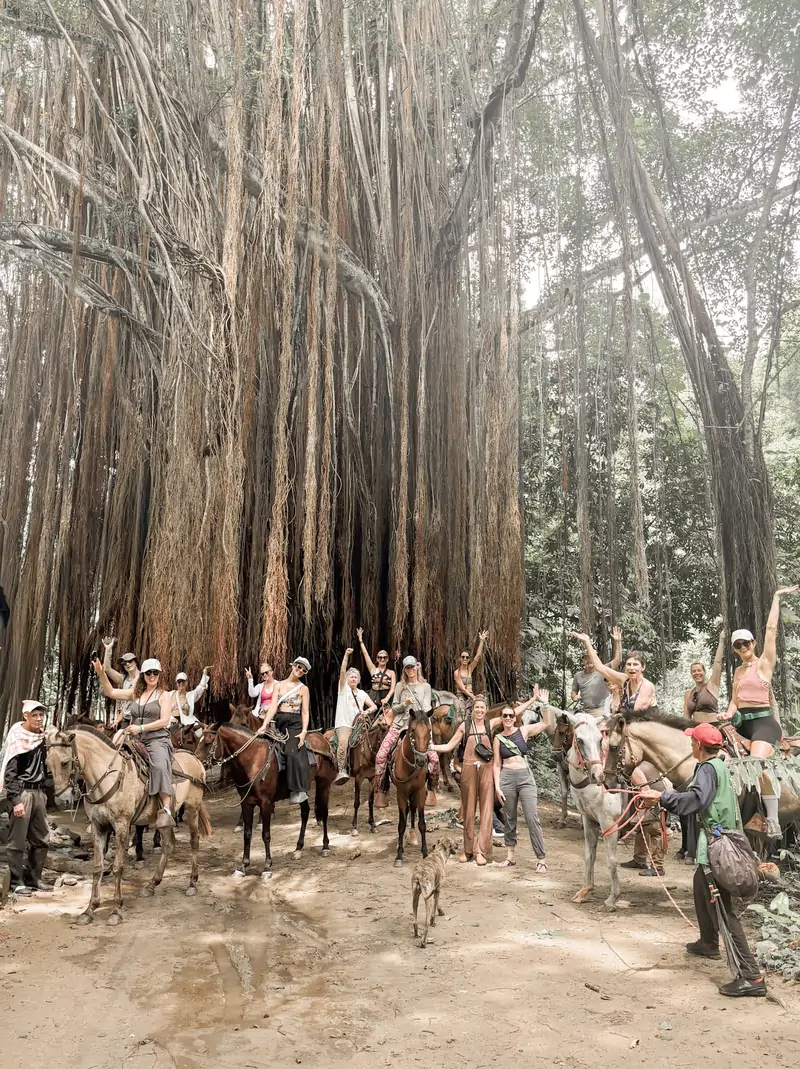 The group riding under the giant vines