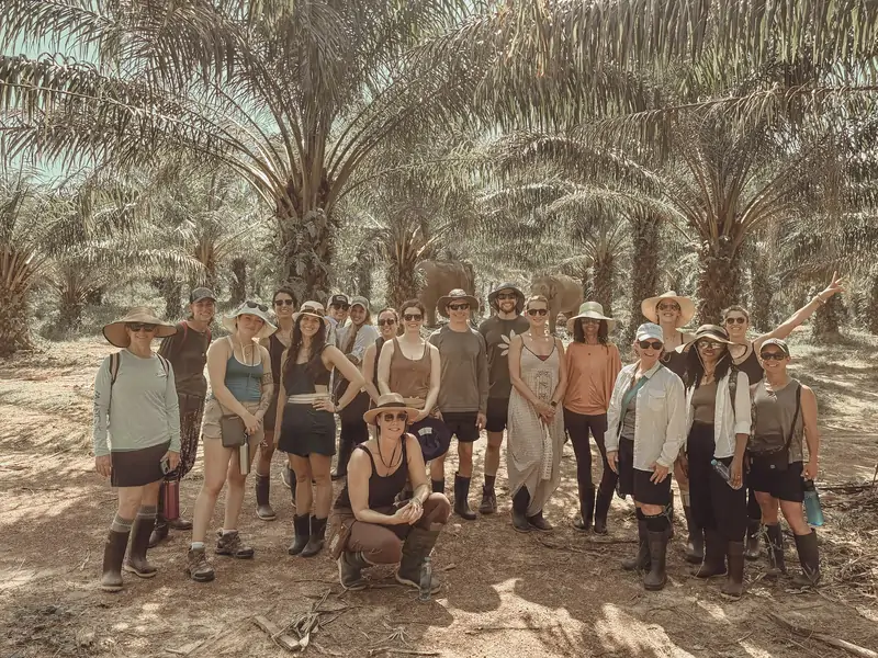 The group among the palms in Thailand