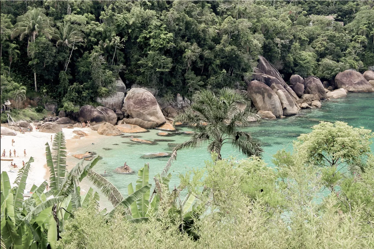 The turquoise water and palm trees of a beach near Paraty