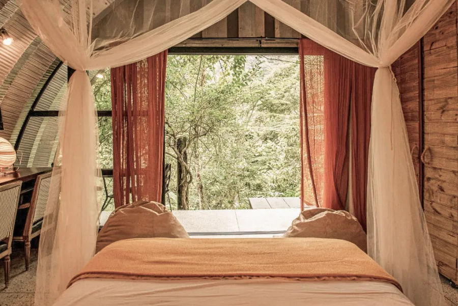 A bed under a canopy facing the forest