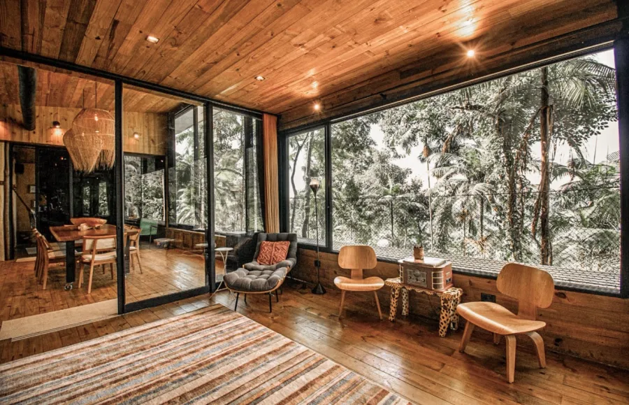 A living space opening onto the treetops