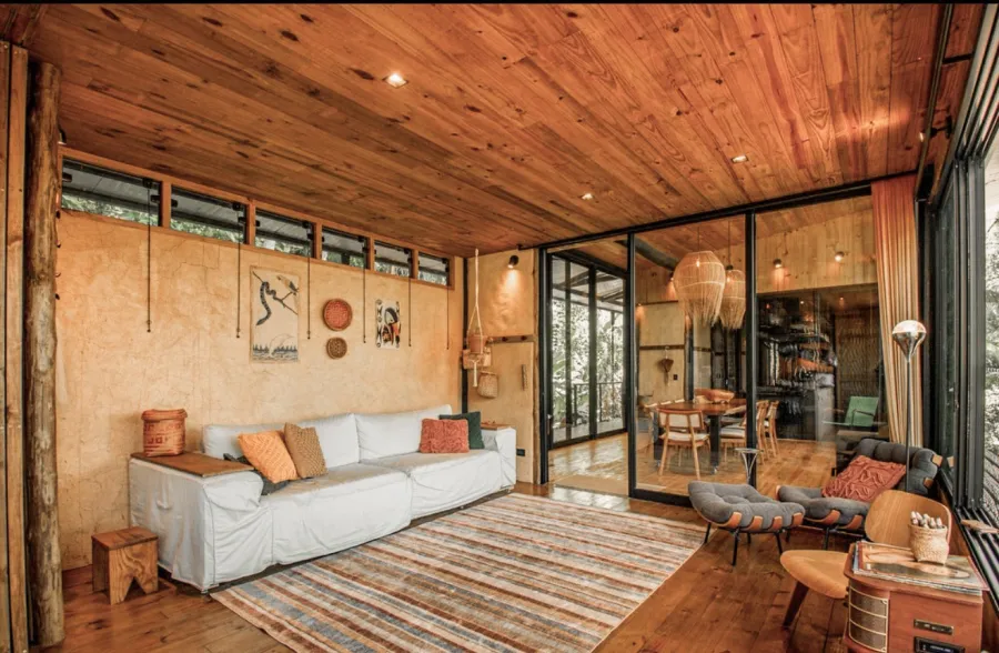 A living room with a view of the forest canopy
