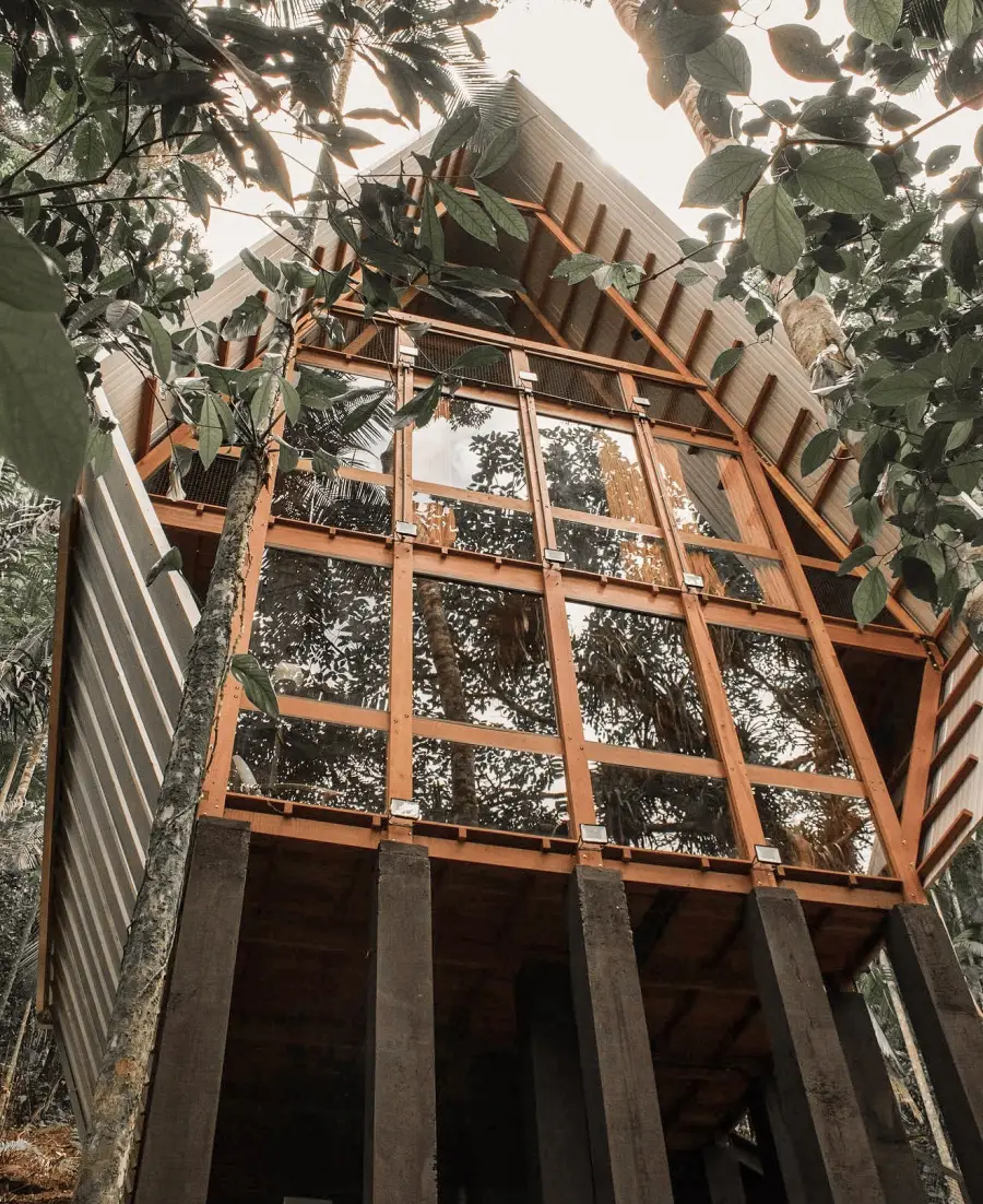 The glass roof of a forest villa seen from above