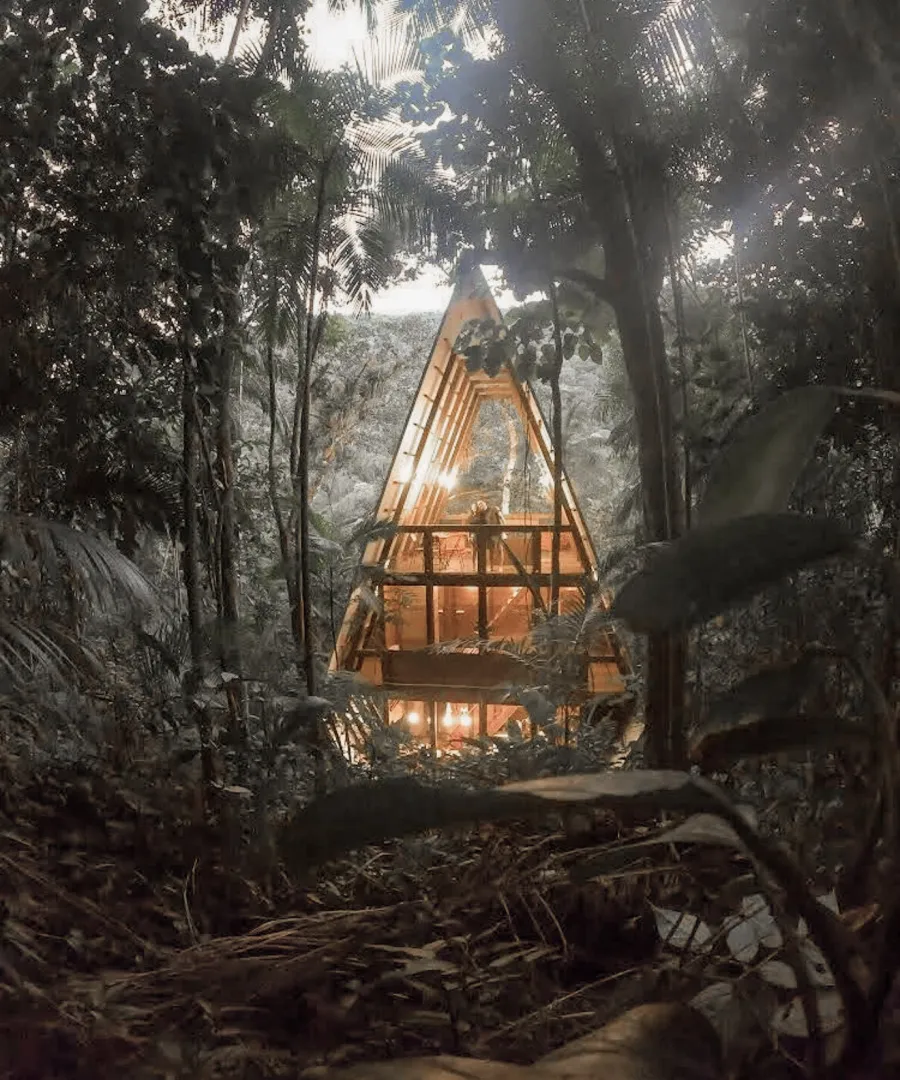 A forest villa lit up among the trees at night