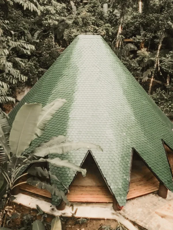 The yoga shala with its green roof, open to the forest