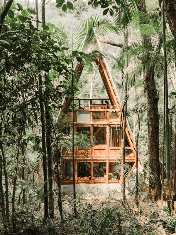 A villa standing among the trees of the Atlantic Forest